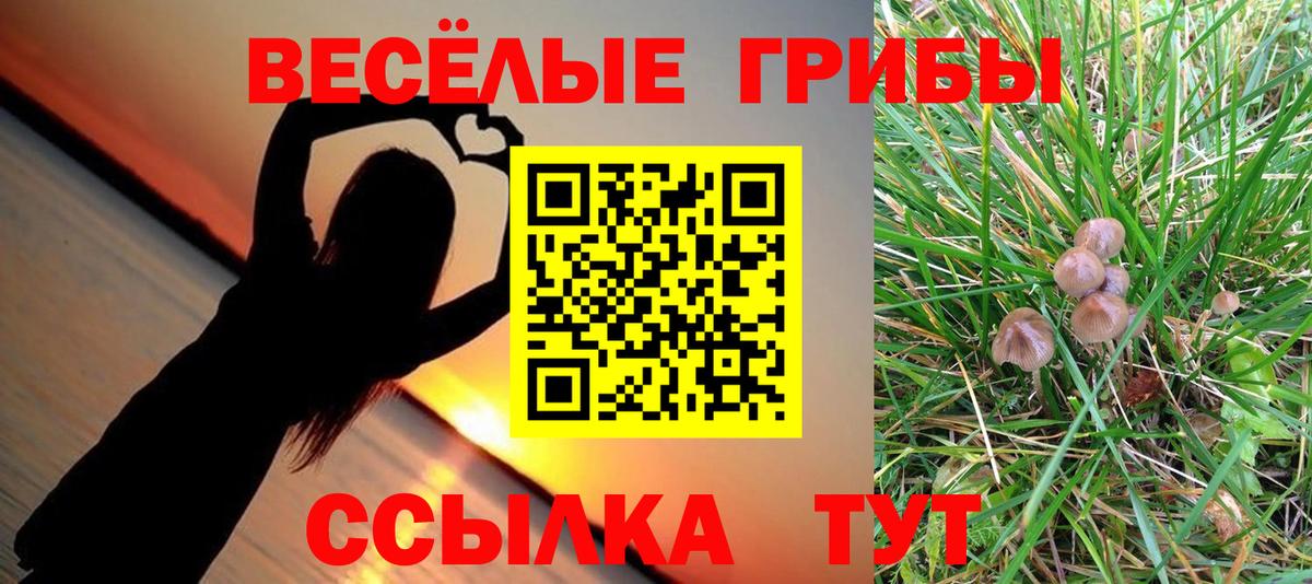Псилоцибиновые грибы мухоморы Коркино